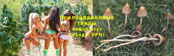 а пвп мука Бронницы
