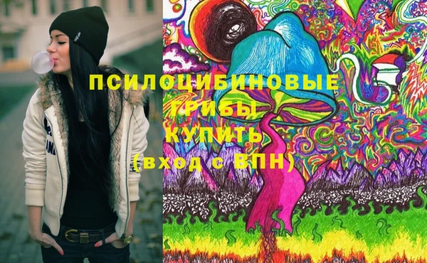 ГАЛЛЮЦИНОГЕННЫЕ ГРИБЫ Бугульма